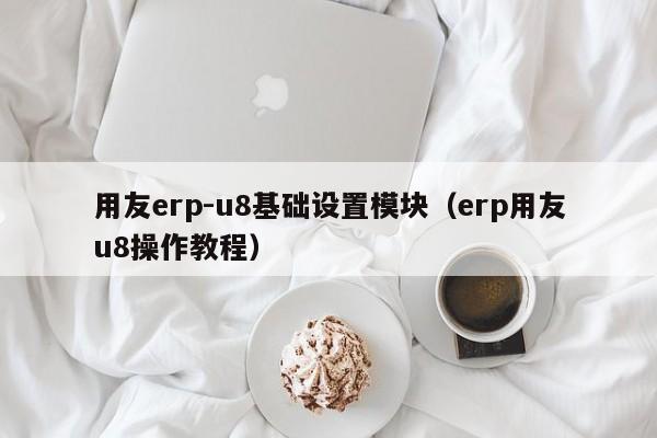 用友erp-u8基础设置模块（erp用友u8操作教程）