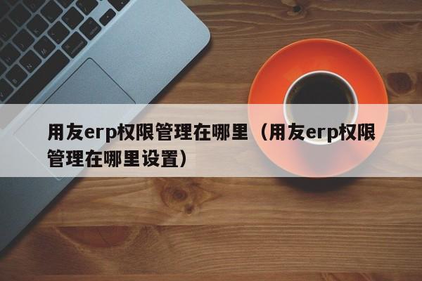 用友erp权限管理在哪里（用友erp权限管理在哪里设置）