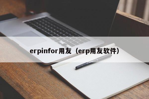 erpinfor用友（erp用友软件）