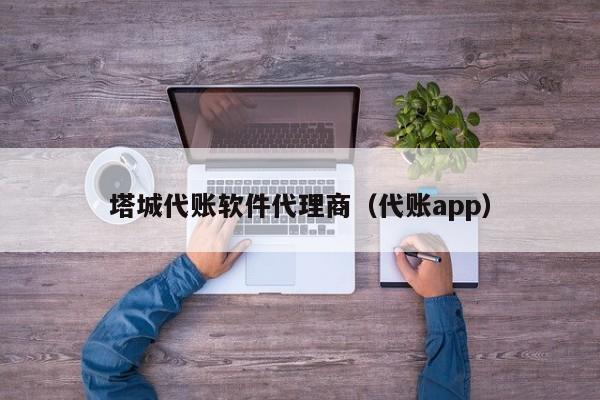 塔城代账软件代理商（代账app）