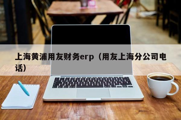 上海黄浦用友财务erp（用友上海分公司电话）