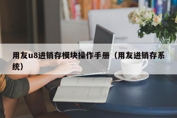 用友u8进销存模块操作手册（用友进销存系统）