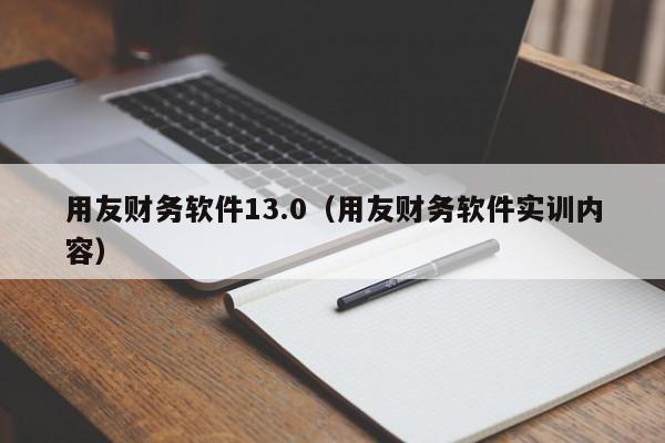 用友财务软件13.0（用友财务软件实训内容）