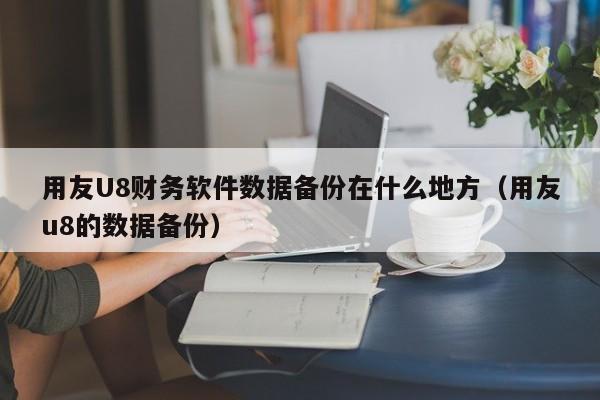 用友U8财务软件数据备份在什么地方（用友u8的数据备份）