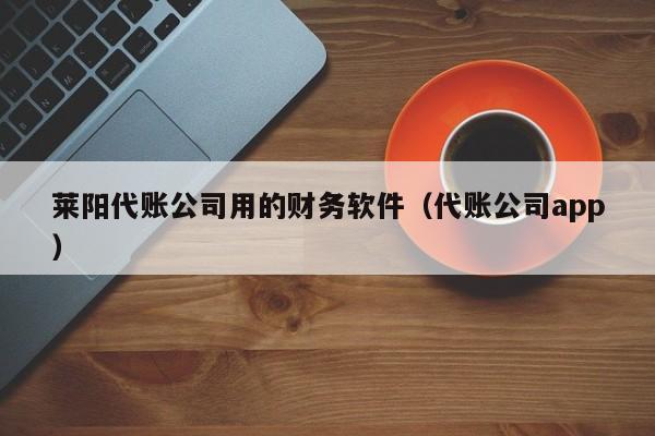 莱阳代账公司用的财务软件（代账公司app）