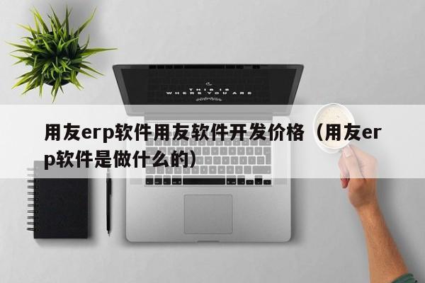 用友erp软件用友软件开发价格（用友erp软件是做什么的）