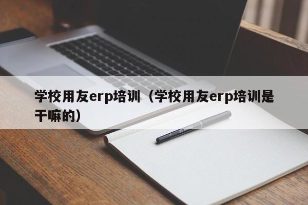 学校用友erp培训（学校用友erp培训是干嘛的）