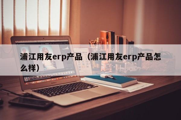 浦江用友erp产品（浦江用友erp产品怎么样）