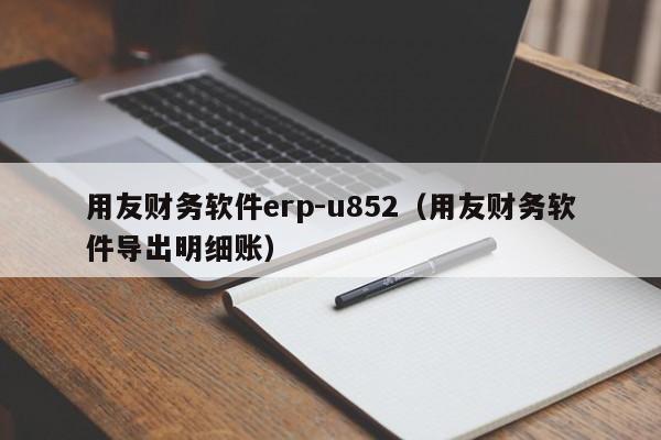 用友财务软件erp-u852（用友财务软件导出明细账）