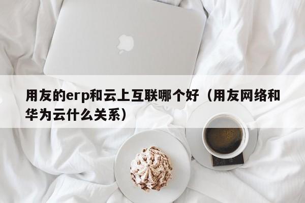 用友的erp和云上互联哪个好（用友网络和华为云什么关系）