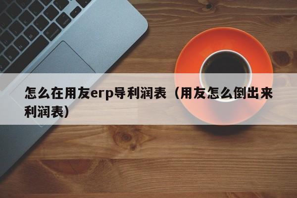 怎么在用友erp导利润表（用友怎么倒出来利润表）