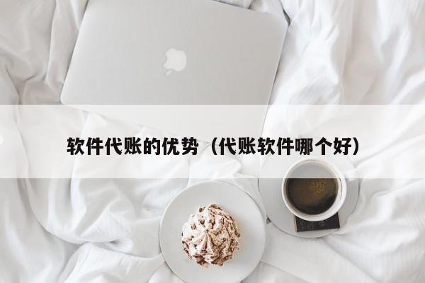 软件代账的优势（代账软件哪个好）