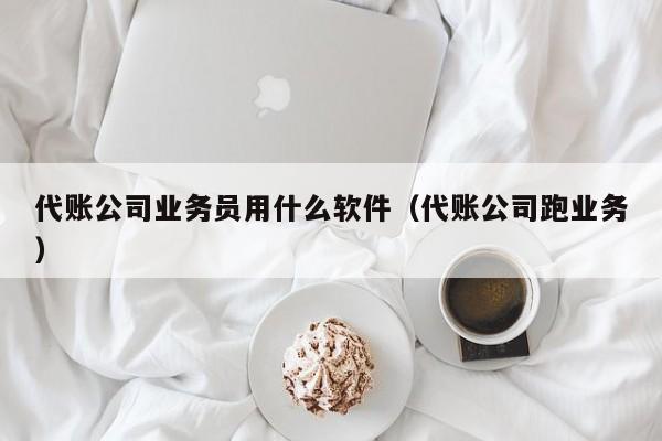 代账公司业务员用什么软件（代账公司跑业务）