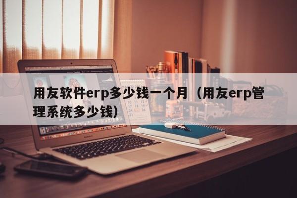 用友软件erp多少钱一个月（用友erp管理系统多少钱）