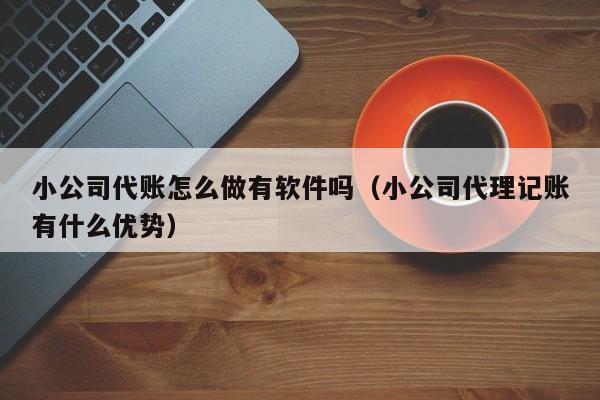 小公司代账怎么做有软件吗（小公司代理记账有什么优势）