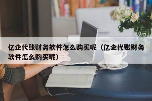 亿企代账财务软件怎么购买呢（亿企代账财务软件怎么购买呢）