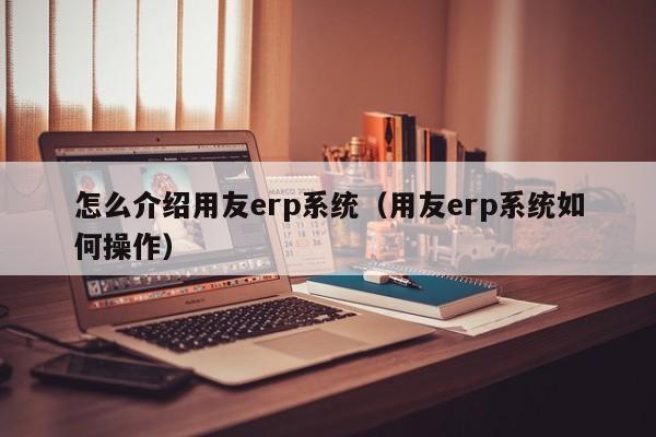 怎么介绍用友erp系统（用友erp系统如何操作）