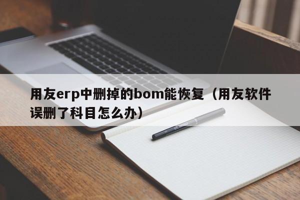 用友erp中删掉的bom能恢复（用友软件误删了科目怎么办）