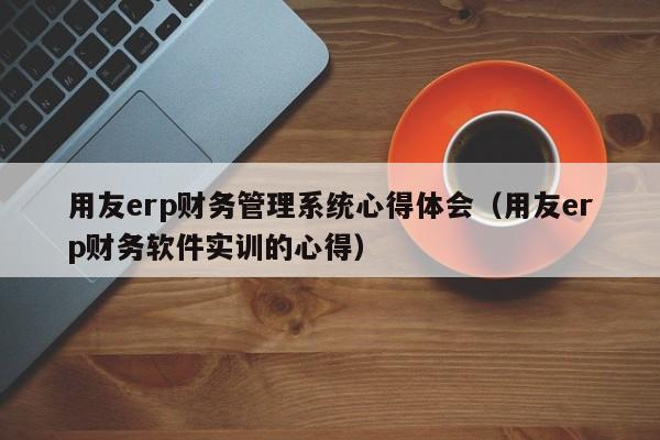 用友erp财务管理系统心得体会（用友erp财务软件实训的心得）