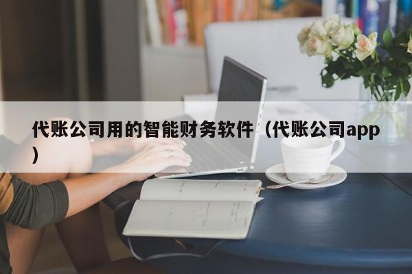 代账公司用的智能财务软件（代账公司app）