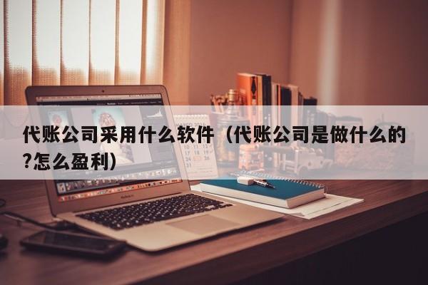 代账公司采用什么软件（代账公司是做什么的?怎么盈利）