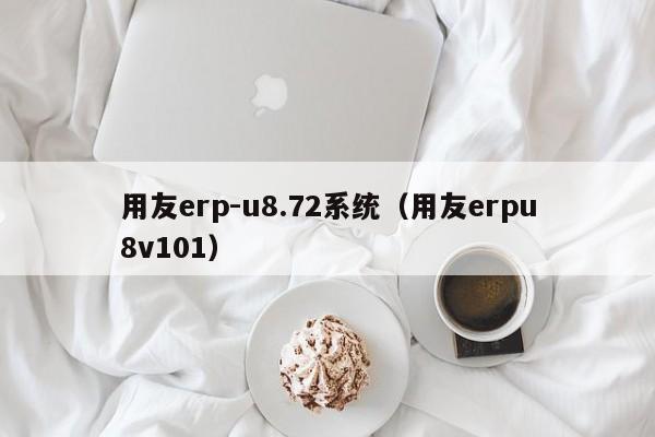 用友erp-u8.72系统（用友erpu8v101）