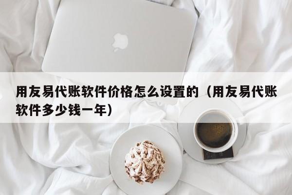 用友易代账软件价格怎么设置的（用友易代账软件多少钱一年）