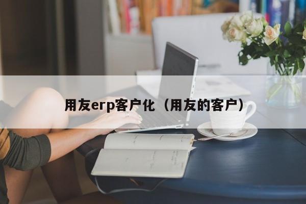 用友erp客户化（用友的客户）