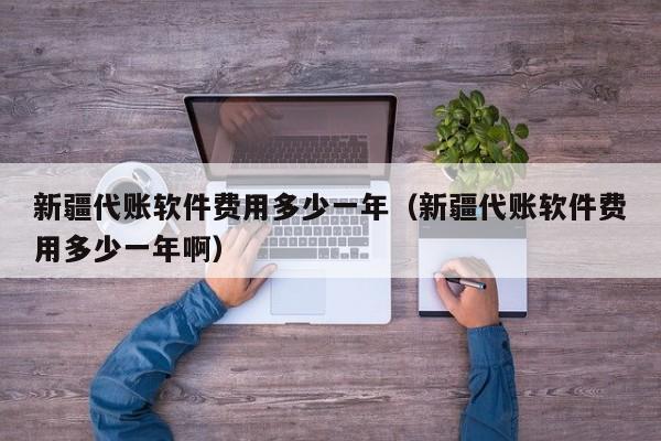 新疆代账软件费用多少一年（新疆代账软件费用多少一年啊）