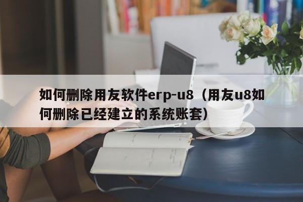 如何删除用友软件erp-u8（用友u8如何删除已经建立的系统账套）