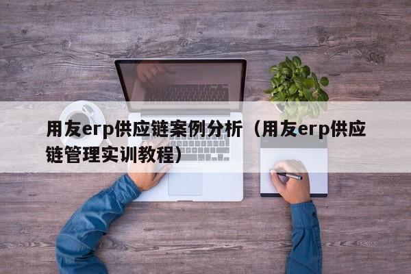 用友erp供应链案例分析（用友erp供应链管理实训教程）