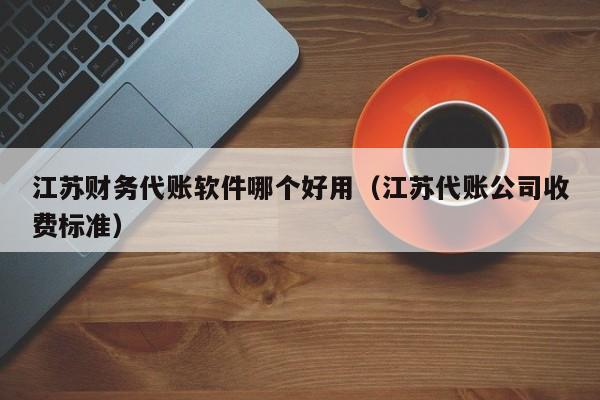 江苏财务代账软件哪个好用（江苏代账公司收费标准）