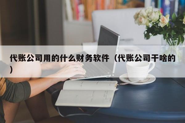 代账公司用的什么财务软件（代账公司干啥的）