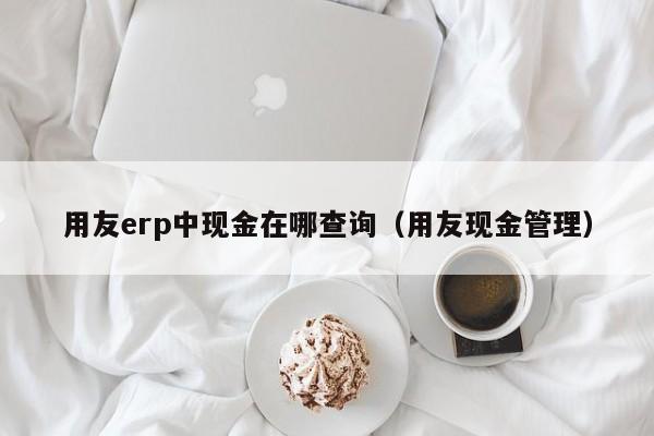 用友erp中现金在哪查询（用友现金管理）