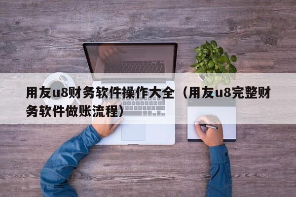 用友u8财务软件操作大全（用友u8完整财务软件做账流程）