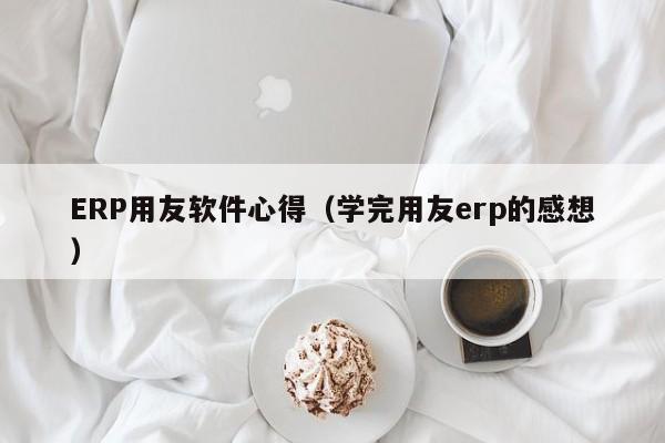 ERP用友软件心得（学完用友erp的感想）