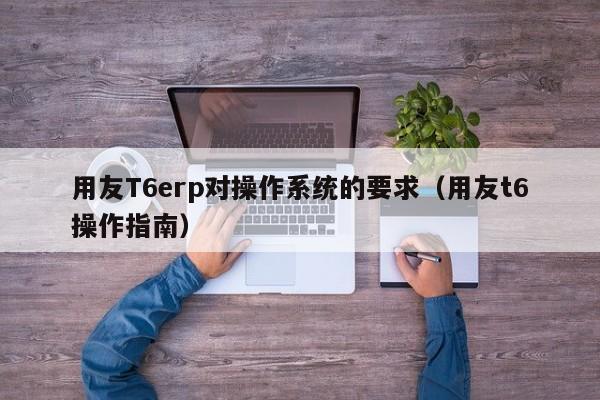 用友T6erp对操作系统的要求（用友t6操作指南）