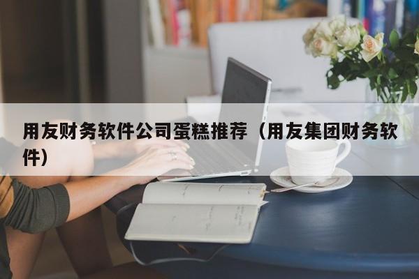 用友财务软件公司蛋糕推荐（用友集团财务软件）