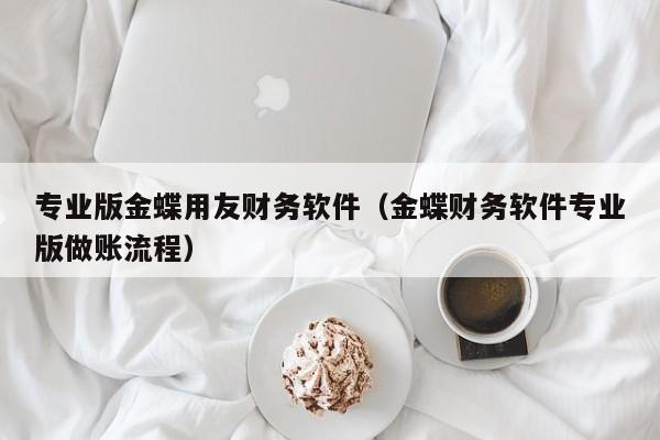 专业版金蝶用友财务软件（金蝶财务软件专业版做账流程）