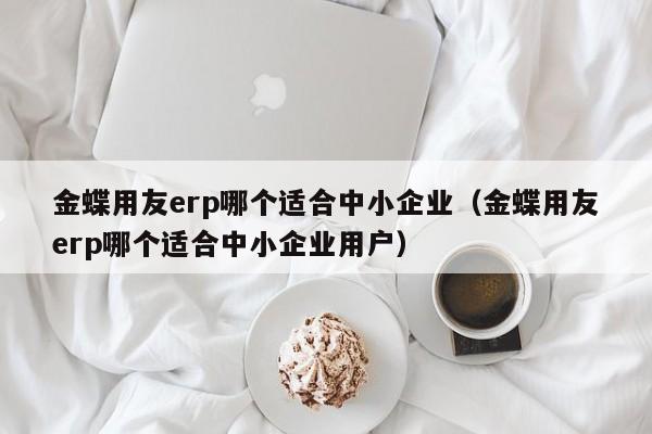 金蝶用友erp哪个适合中小企业（金蝶用友erp哪个适合中小企业用户）