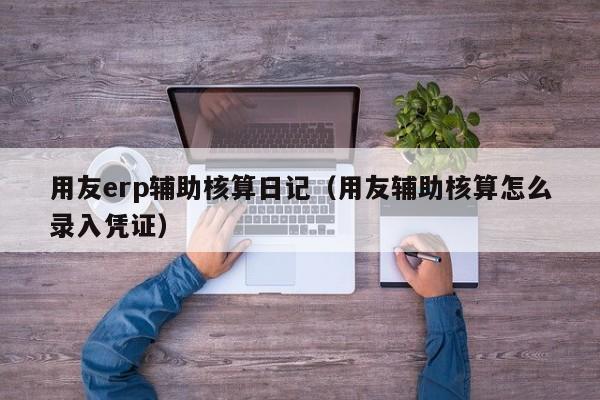 用友erp辅助核算日记（用友辅助核算怎么录入凭证）