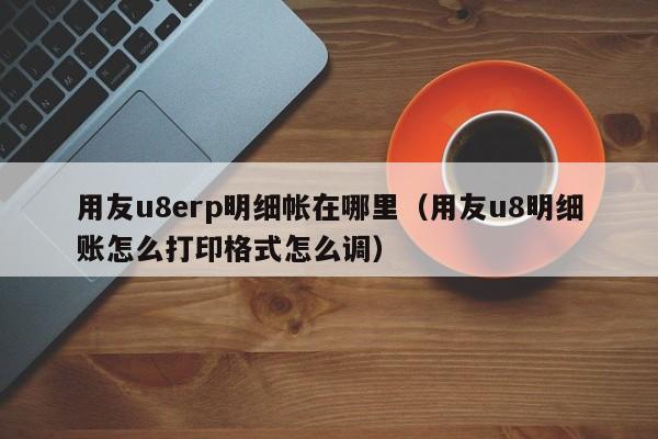 用友u8erp明细帐在哪里（用友u8明细账怎么打印格式怎么调）