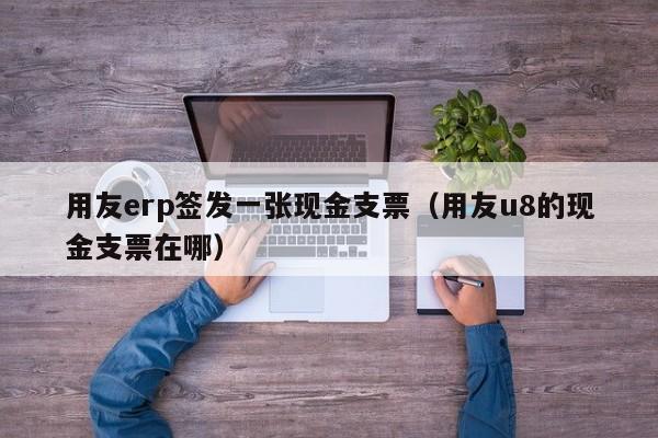 用友erp签发一张现金支票（用友u8的现金支票在哪）