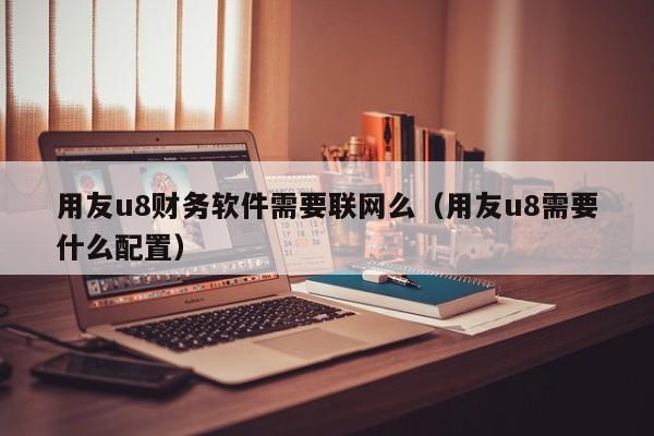 用友u8财务软件需要联网么（用友u8需要什么配置）