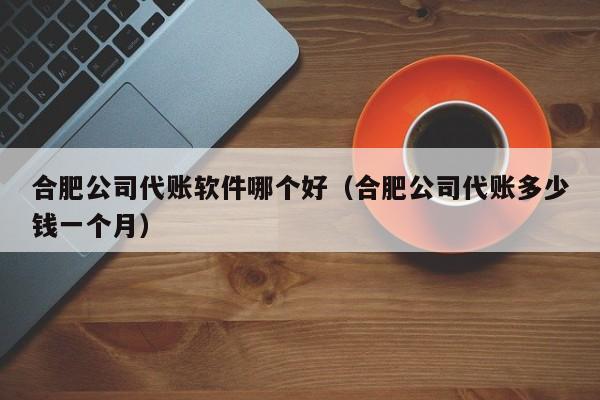 合肥公司代账软件哪个好（合肥公司代账多少钱一个月）