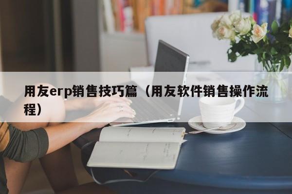 用友erp销售技巧篇（用友软件销售操作流程）