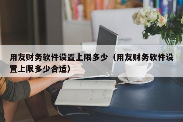 用友财务软件设置上限多少（用友财务软件设置上限多少合适）