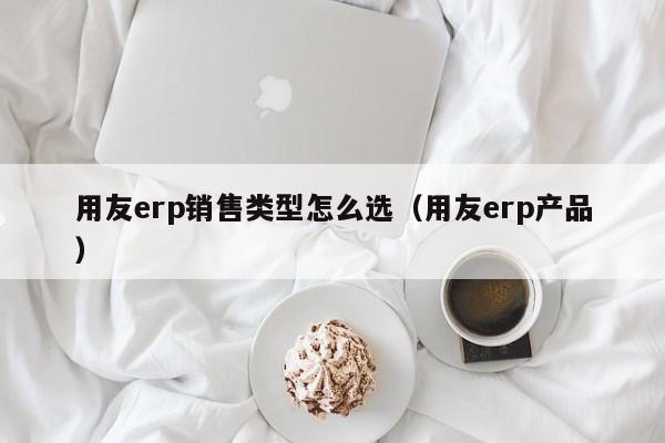 用友erp销售类型怎么选（用友erp产品）