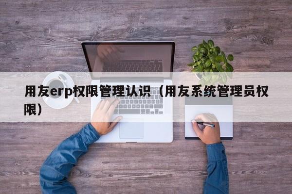 用友erp权限管理认识（用友系统管理员权限）