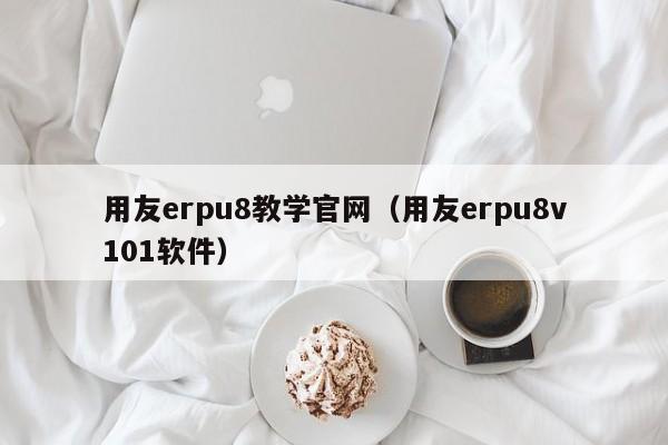 用友erpu8教学官网（用友erpu8v101软件）